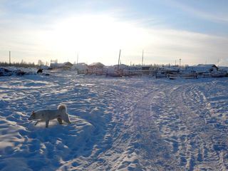 Heisskalt - Die extremsten Orte der Welt