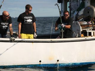 Wicked Tuna - Fischer fuers Leben Wicked Tuna - Fischer fuers Leben