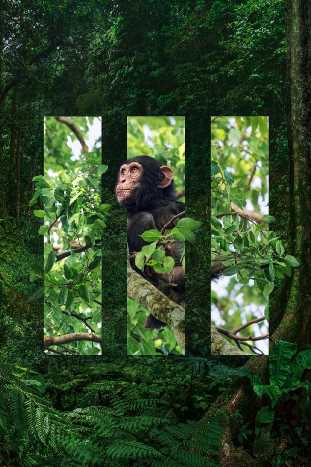 Så gjordes Planet Earth III