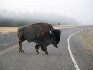 Gute Nachrichten vom Planeten