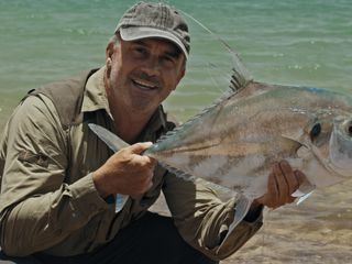 Giganten unter Wasser - Riesenfischen auf der Spur