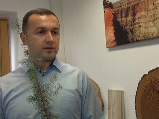 Die Zukunft des Waldes