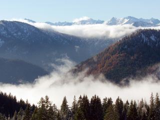 Der Blaeuling und die neue Wildnis - Das Mangfallgebirge