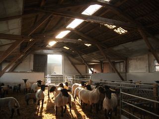 Helden der Landwirtschaft