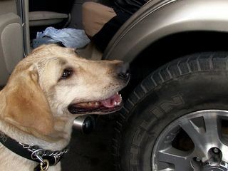 Amerikas heisse Grenze - Spezial