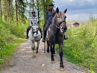 Anna und die Haustiere