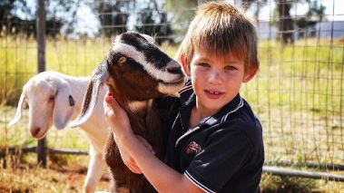 Outback Farm