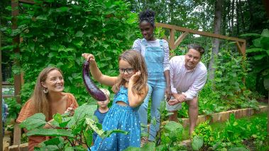 Homegrown - Aus Liebe zum Garten