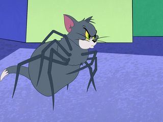 Die Tom und Jerry Show