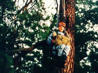 Oben geblieben ist noch keiner