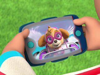 PAW Patrol - Helfer auf vier Pfoten