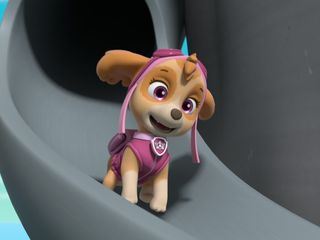 Paw Patrol: Helfer auf vier Pfoten