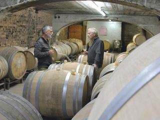Der grosse Weinskandal - Panscher und Profit