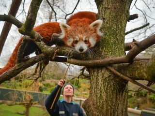 Zoo und so - Tierisch wild! Zoo und so - Tierisch wild!
