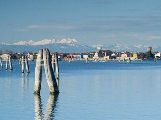 Wildes Venedig