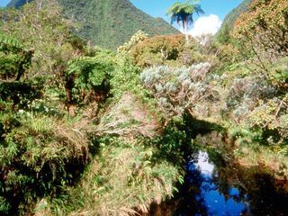 Mauritius - Schatzinsel im Indischen Ozean