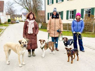 Anna und die Haustiere