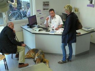Hautnah: Die Tierklinik