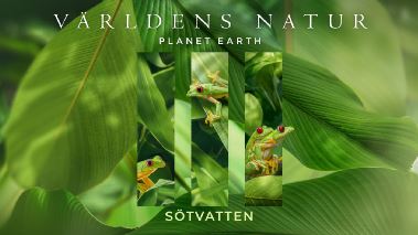 Vaerldens natur: Planet Earth III