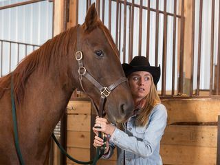 Heartland - Paradies fuer Pferde