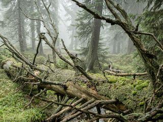 Maerchenhaftes Tschechien