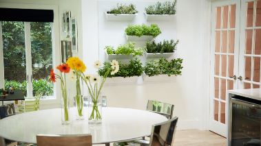 Property Brothers - Die Traumhaus-Profis