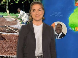 Mit offenen Karten - Im Fokus