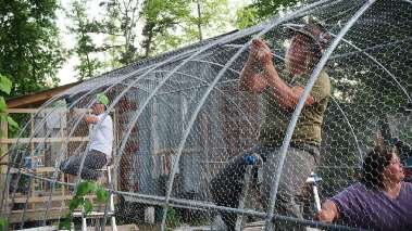 Home Rescue - Wohnen in der Wildnis