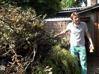 Von Hecke zu Hecke - Bunte Beetgeschichten