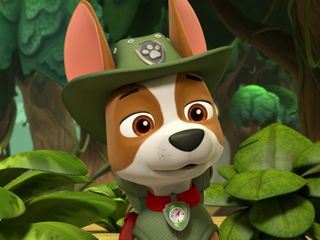 Paw Patrol - Helfer auf vier Pfoten