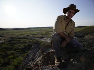 Der Untergang der Dinosaurier