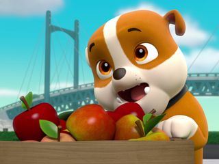 PAW Patrol - Helfer auf vier Pfoten