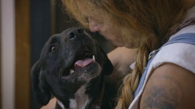 Pitbulls auf Bewaehrung