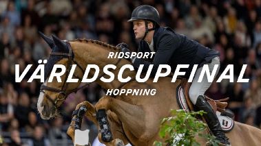 Ridsport: Vaerldscupen