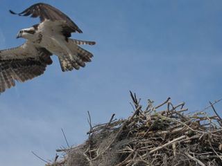 Amerikas Naturwunder