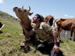 Tuerkei: Die Kuehe von Tahpur