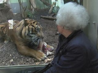 Giraffe, Erdmaennchen & Co.