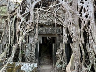 Verwunschene Tempel und schwimmende Doerfer