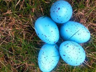 Frueher waren die Ostereier bunter!