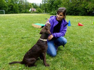 Anna und die Haustiere
