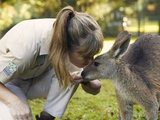 Die Irwins - Crocodile Hunter Family
