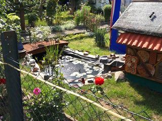 Von Hecke zu Hecke - Bunte Beetgeschichten