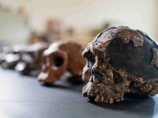 Humans - Geschichte der Menschheit