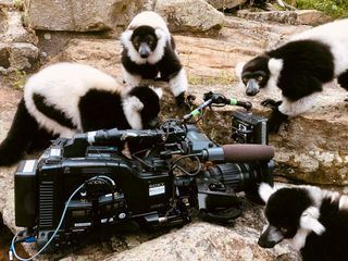 WILDER WILDER WESTEN