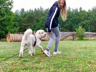 Liebste Fellnasen - Abenteuer Hundeschule