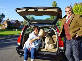 Hunde ausser Kontrolle