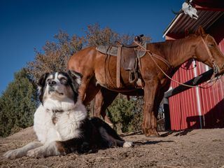 Das Wunder des Lebens: Tierbabys