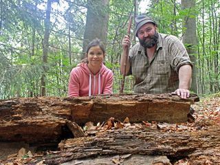 Anna und der wilde Wald