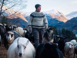 Woolly - Generationenwechsel auf einer Schaffarm in Norwegen