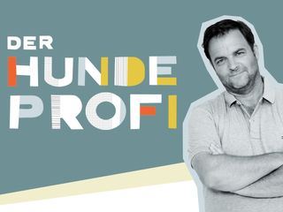 Der Hundeprofi